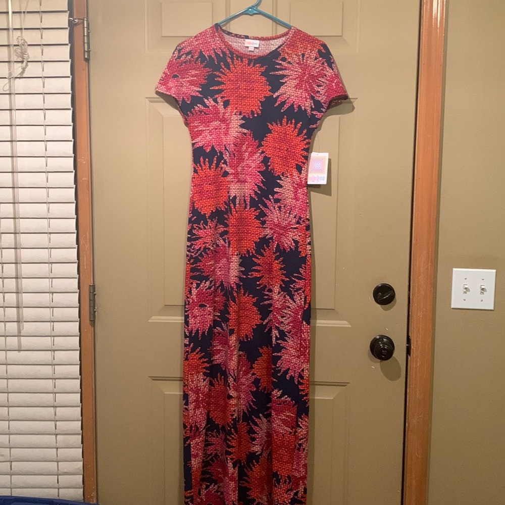 Lularoe Maria maxi dress.